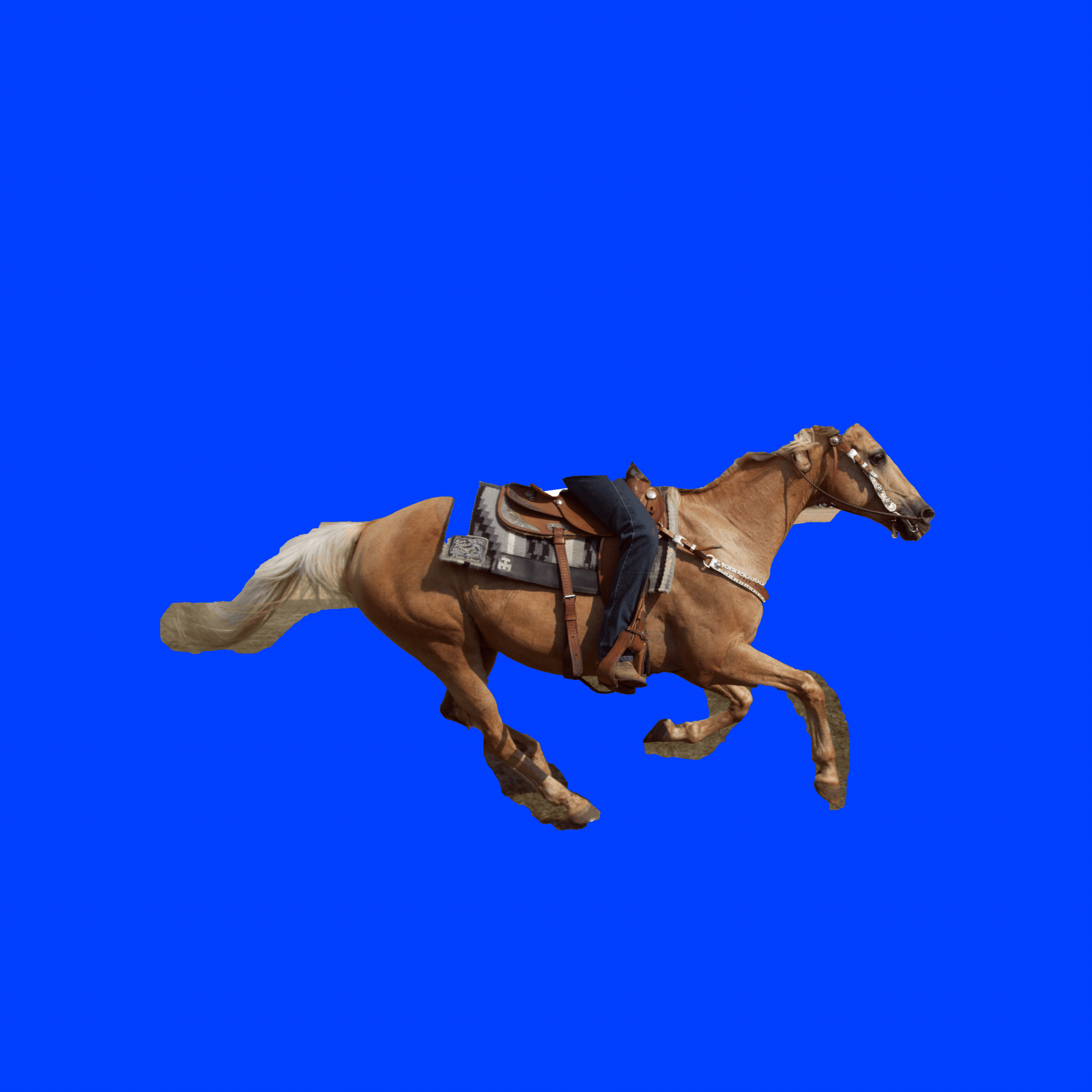 Horse ASCII Showcase